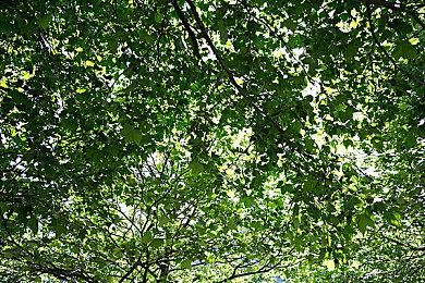 《砖块迷宫建造者重制版》4月15日发售